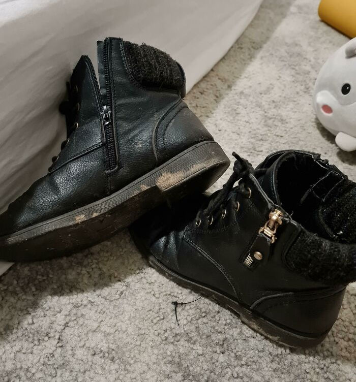 My Girlfriend's Shoes Have A Stylish Fake Zip They Could Have Used But Instead Use A Cheap Zip On The Other Side