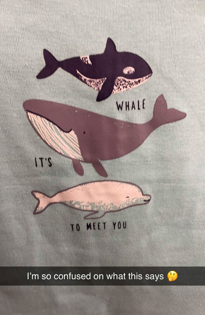 My Wife Spent 20 Mins Staring At This Shirt To Figure It Out. I Am Stumped Also