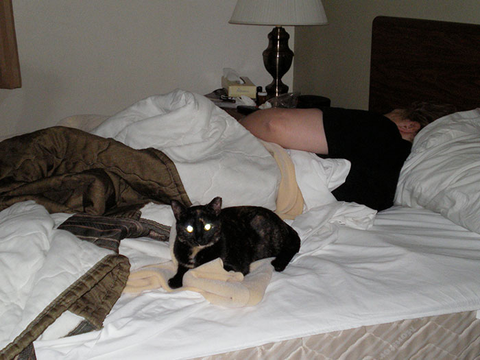 &ldquo;AITA For Not Waking My Boyfriend Which Made Him Late To His First Day At A New Job?&rdquo;