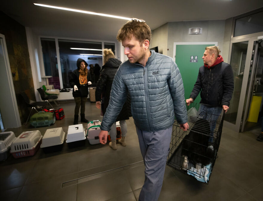 Brave Vet Rescues Traumatized Pets From Ukraine And Delivers Them To Safety