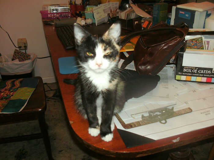 Nugget, About Three Months