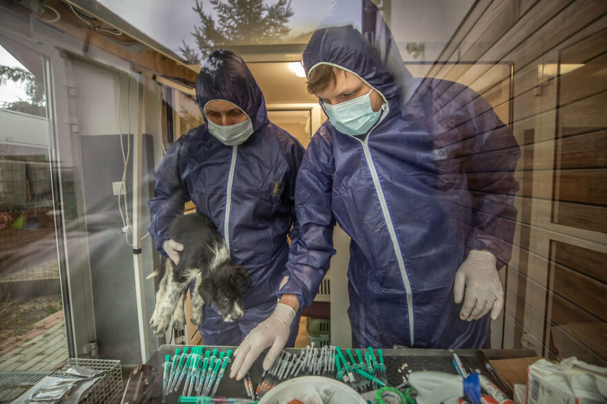 Brave Vet Rescues Traumatized Pets From Ukraine And Delivers Them To Safety