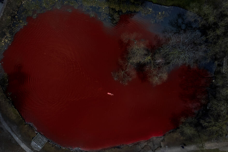 "Swimming Through": We Dyed The Pond In Front Of The Russian Embassy In Lithuania So That It Looks Like Blood "Swimming Through": We Dyed The Pond In Front Of The Russian Embassy In Lithuania So That It Looks Like Blood