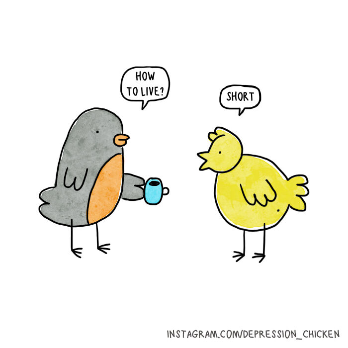 Chicken Life Advises