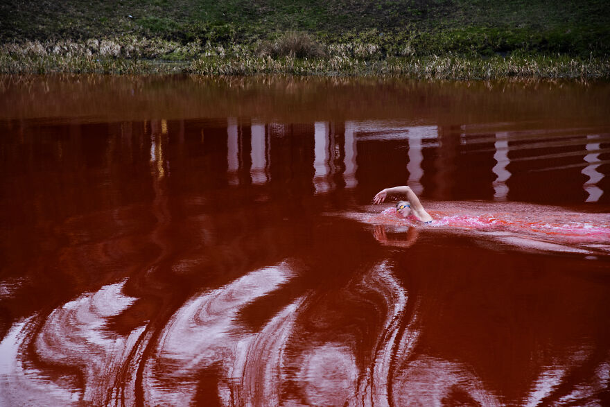 "Swimming Through": We Dyed The Pond In Front Of The Russian Embassy In Lithuania So That It Looks Like Blood "Swimming Through": We Dyed The Pond In Front Of The Russian Embassy In Lithuania So That It Looks Like Blood