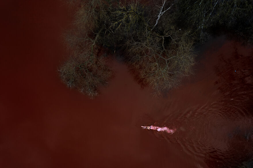 "Swimming Through": We Dyed The Pond In Front Of The Russian Embassy In Lithuania So That It Looks Like Blood "Swimming Through": We Dyed The Pond In Front Of The Russian Embassy In Lithuania So That It Looks Like Blood
