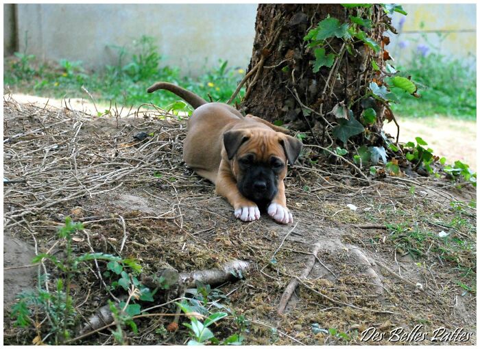 12 Years Ago, We Met For The First Time ... She's Still My Babygirl Ania