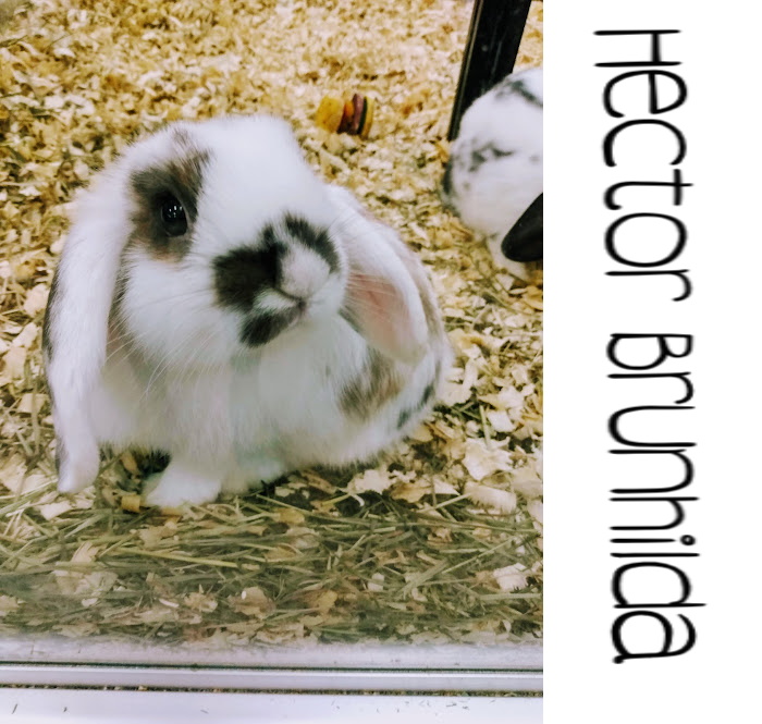 Our Very First Meeting With Our Baby Boy, Days Before We Brought Him Home.