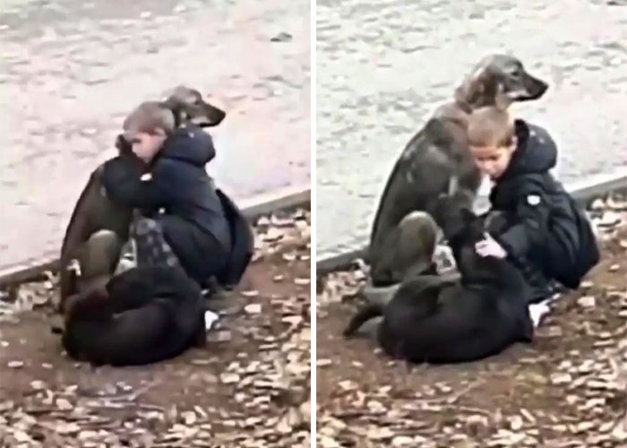 Video Shows Young Boy Stopping To Hug Two Stray Dogs When He Thinks No One Is Watching Video Shows Young Boy Stopping To Hug Two Stray Dogs When He Thinks No One Is Watching