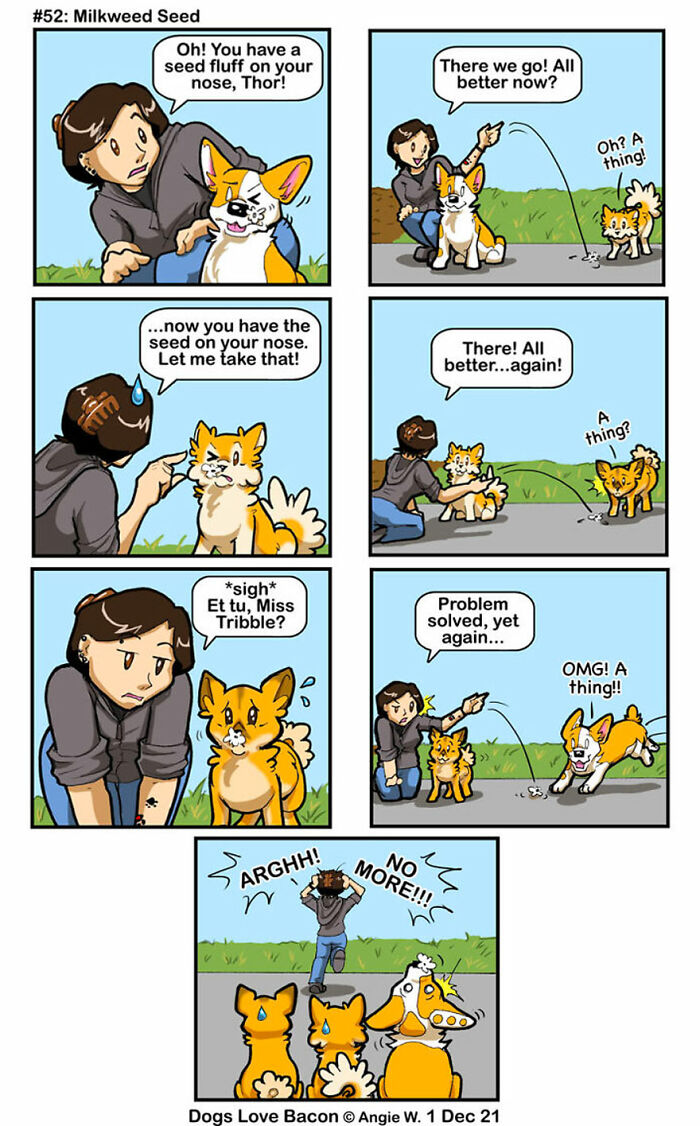 I Started A Comic About My Rescue Dogs, And Here Are Some More Comics!