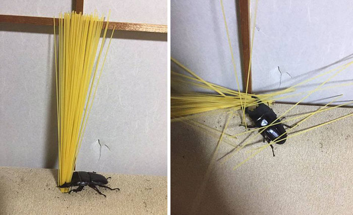 Japanese Stuff Without Context