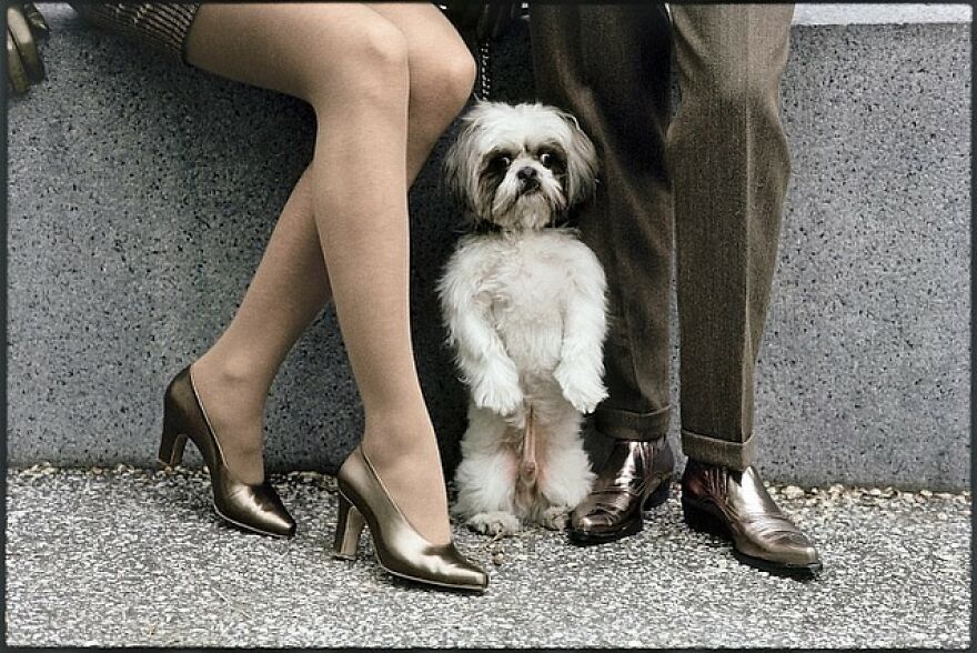 This Instagram Account Features Amusing Street Photographs And Has More Than 500 Thousand Followers (95 New Pics)