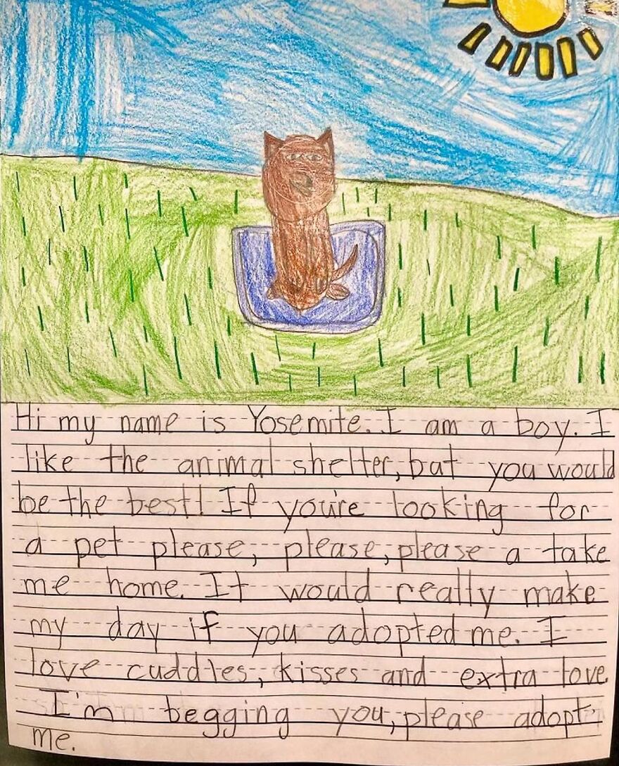 Second Graders Wrote Adorable Letters On Behalf Of Shelter Animals To Get Them Adopted, And It Worked
