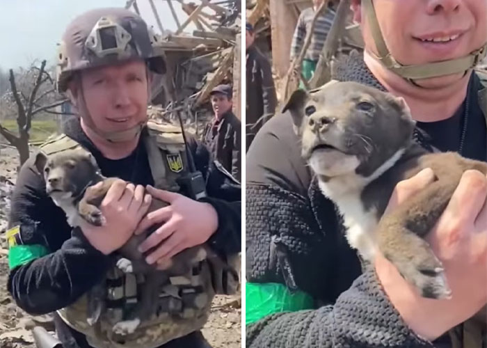Ukrainian Policemen Pull Puppy Out Of Rubble And Return It To 77-Year-Old Owner Who&rsquo;d Lost Everything Else
