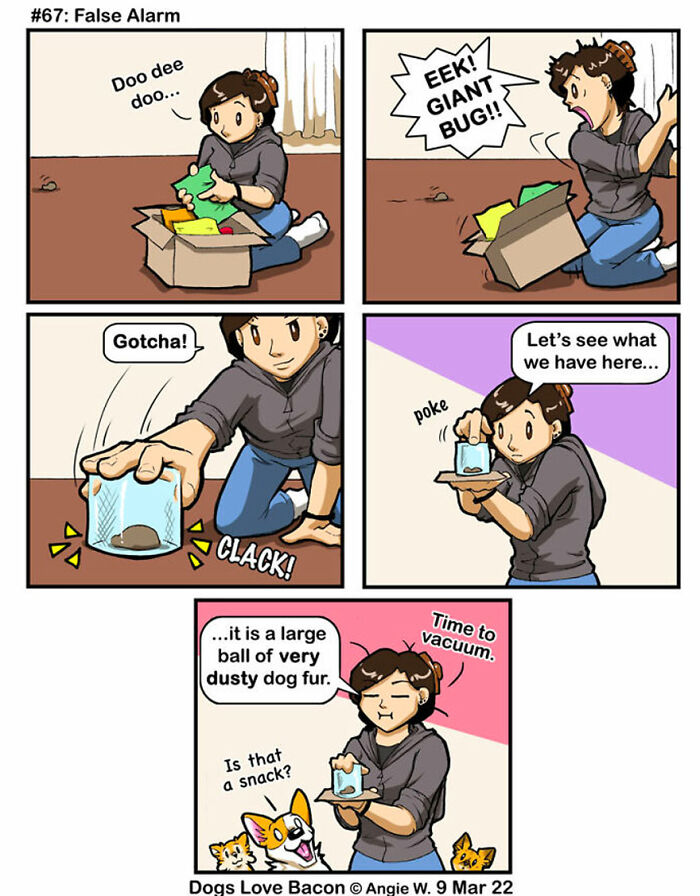 I Started A Comic About My Rescue Dogs, And Here Are Some More Comics!