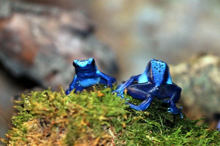 30 Of The Darkest Realities People Often Choose To Live In Denial About, As Shared By Folks Online