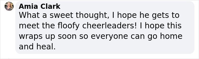 Johnny Depp&rsquo;s Fan Brought Two Emotional Support Alpacas Outside The Court To &ldquo;Brighten His Day&rdquo;