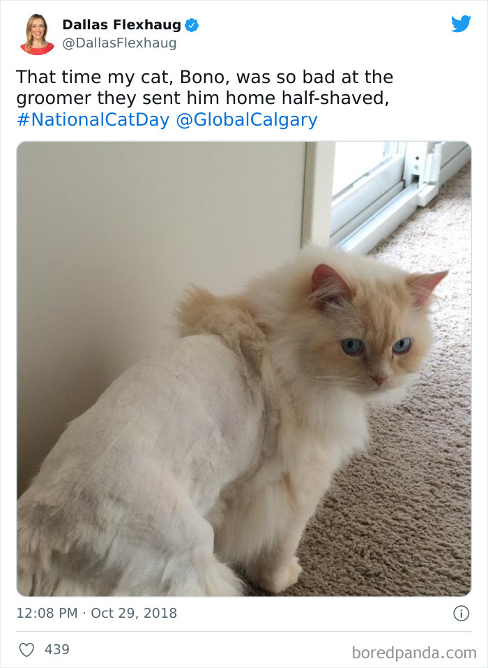 Bono Was Bad At The Groomer