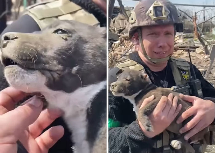 Ukrainian Policemen Pull Puppy Out Of Rubble And Return It To 77-Year-Old Owner Who&rsquo;d Lost Everything Else