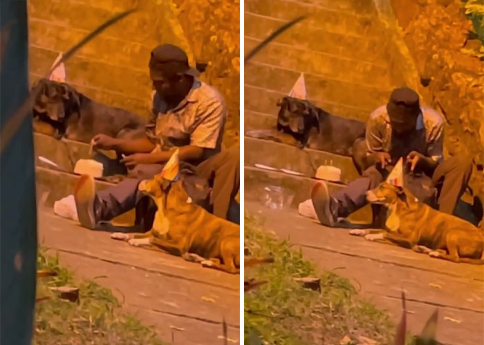 Homeless Man&rsquo;s Birthday Party For His Dog Warms The Hearts Of Many, Leading To A Better Life For Them All