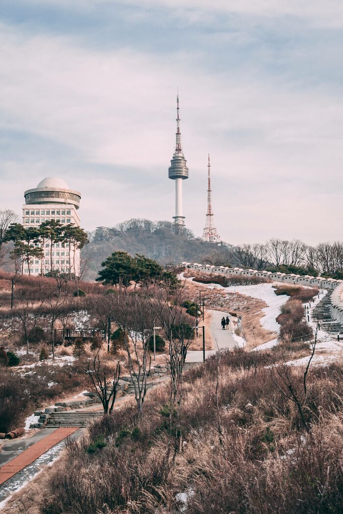 View of Seoul cityscape featuring Namsan Seoul Tower and a winter park pathway with sparse trees and dry grass.