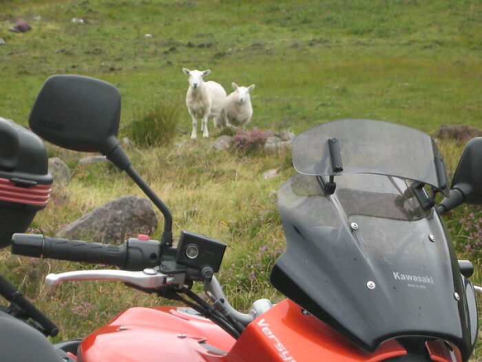 Someone In This Online Group Asked “What Was Something That Shocked You When You Visited A Foreign Country?” And 35 People Delivered