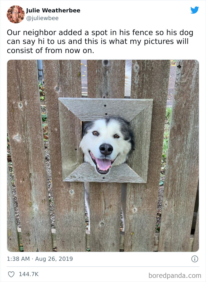 *boop* (T:juliewbee)