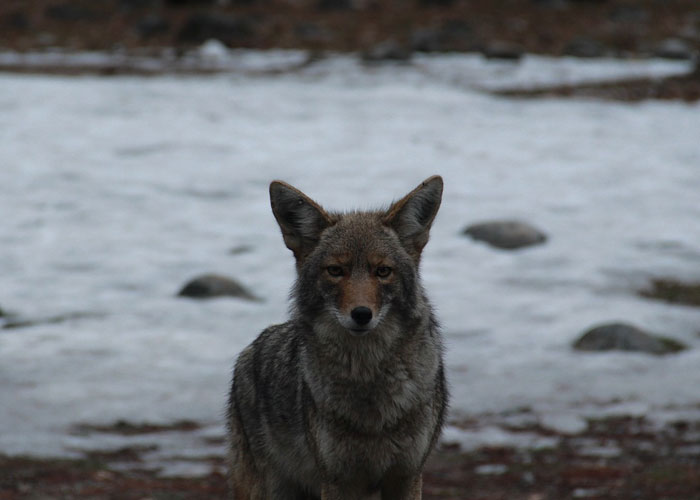 30 People Are Sharing Shockingly Terrifying Things They’ve Witnessed But No One Believed Them