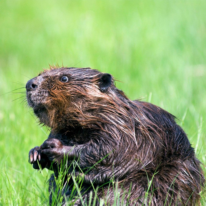 Something Surprising