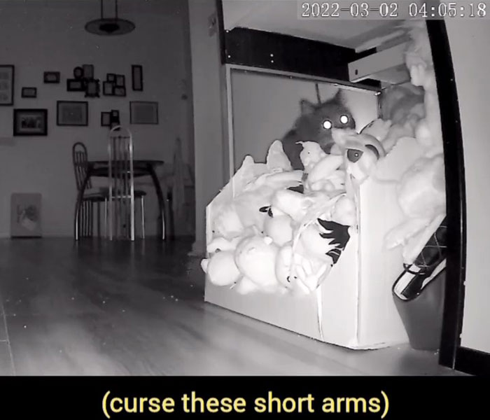 Kitty Becomes Internet Sensation After His Mom Catches Him Stealing Her Daughter&rsquo;s Toys With Hidden Cameras