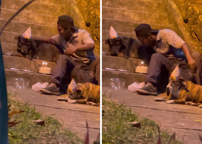 Homeless Man&rsquo;s Birthday Party For His Dog Warms The Hearts Of Many, Leading To A Better Life For Them All