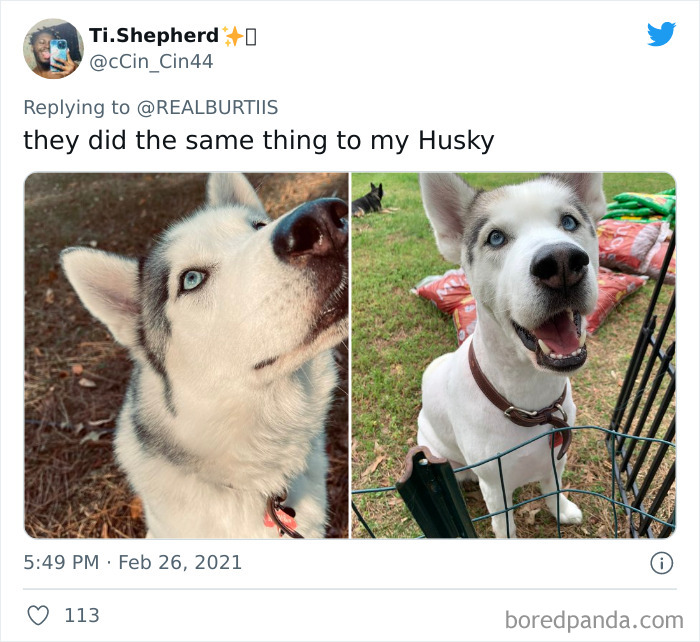 Petsmart At It Again