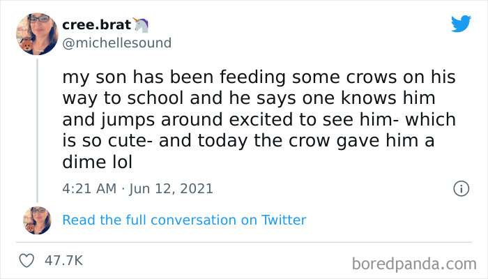 Wholesome-Meet-The-Internet