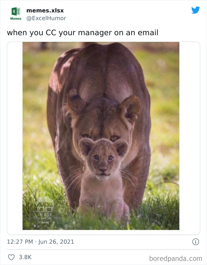 Excel-Humor-Funny-Pic