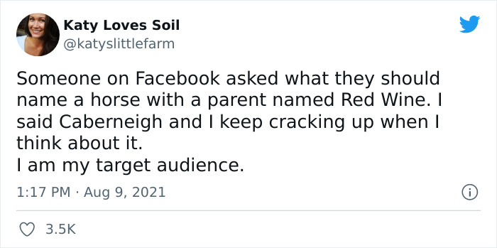 A Funny Break From Our Regularly Scheduled Ridiculousness 