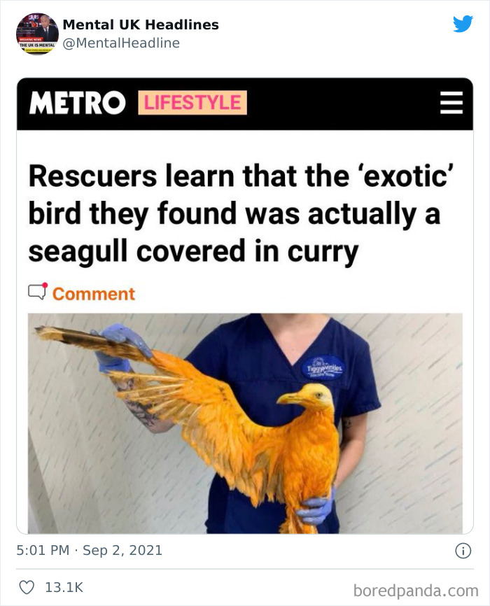 Funny-Mental-UK-Headlines