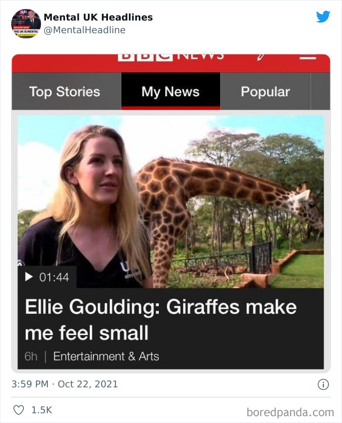 Funny-Mental-UK-Headlines