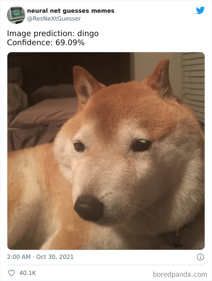 Neural-Net-Guesses-Memes-Pics