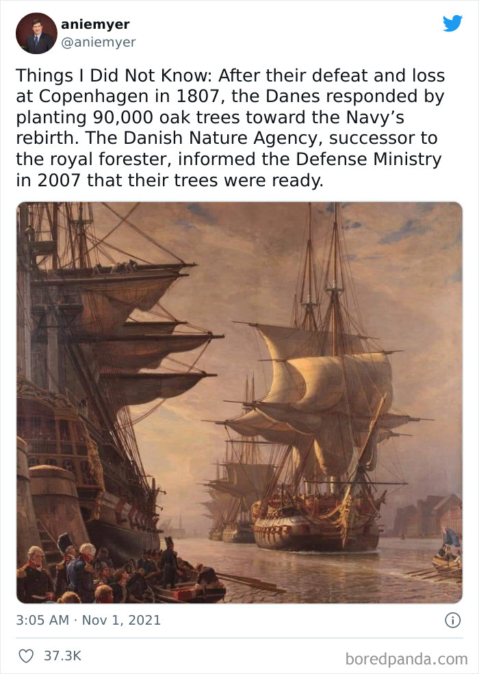 Historical ships docked at harbor illustrating a weird history fact about Danish oak trees planted after 1807 defeat.
