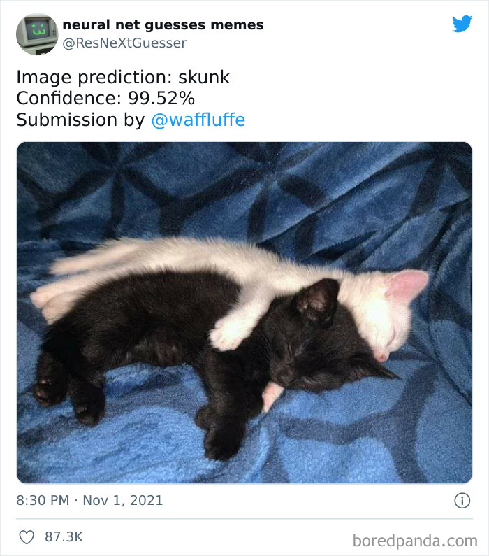 Neural-Net-Guesses-Memes-Pics