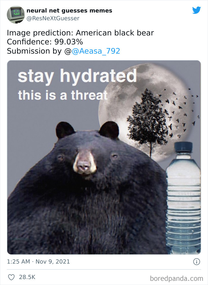 Neural-Net-Guesses-Memes-Pics