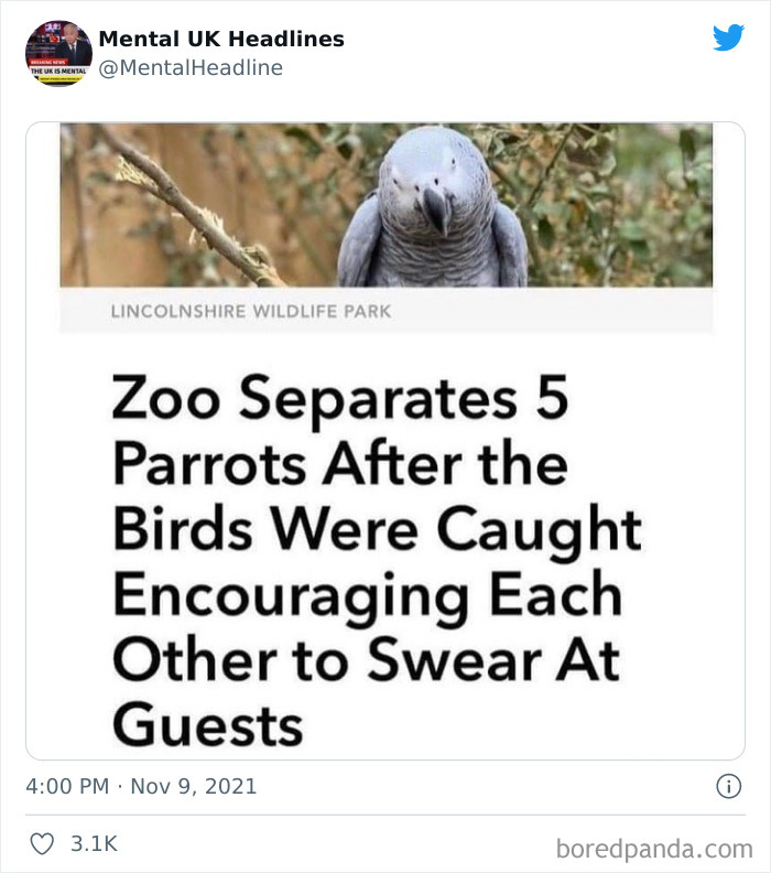 Funny-Mental-UK-Headlines