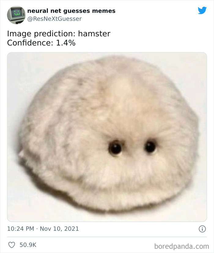 Neural-Net-Guesses-Memes-Pics