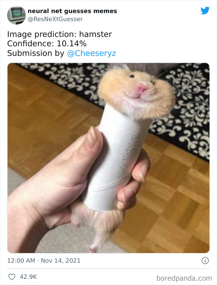 Neural-Net-Guesses-Memes-Pics