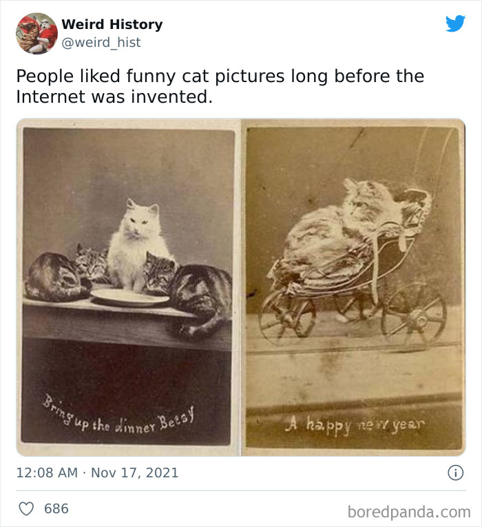Vintage funny cat pictures from weird history showing cats around a dinner plate and a cat in a miniature carriage.