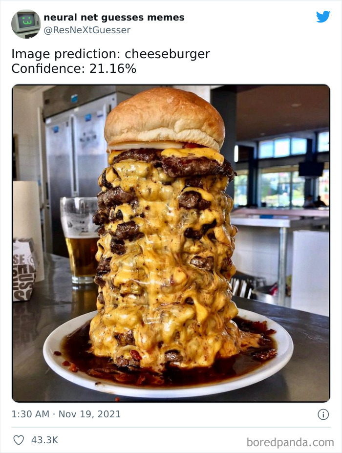 Neural-Net-Guesses-Memes-Pics