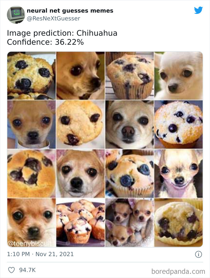 Neural-Net-Guesses-Memes-Pics