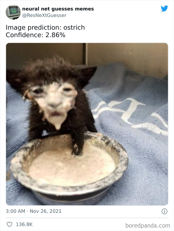 Neural-Net-Guesses-Memes-Pics