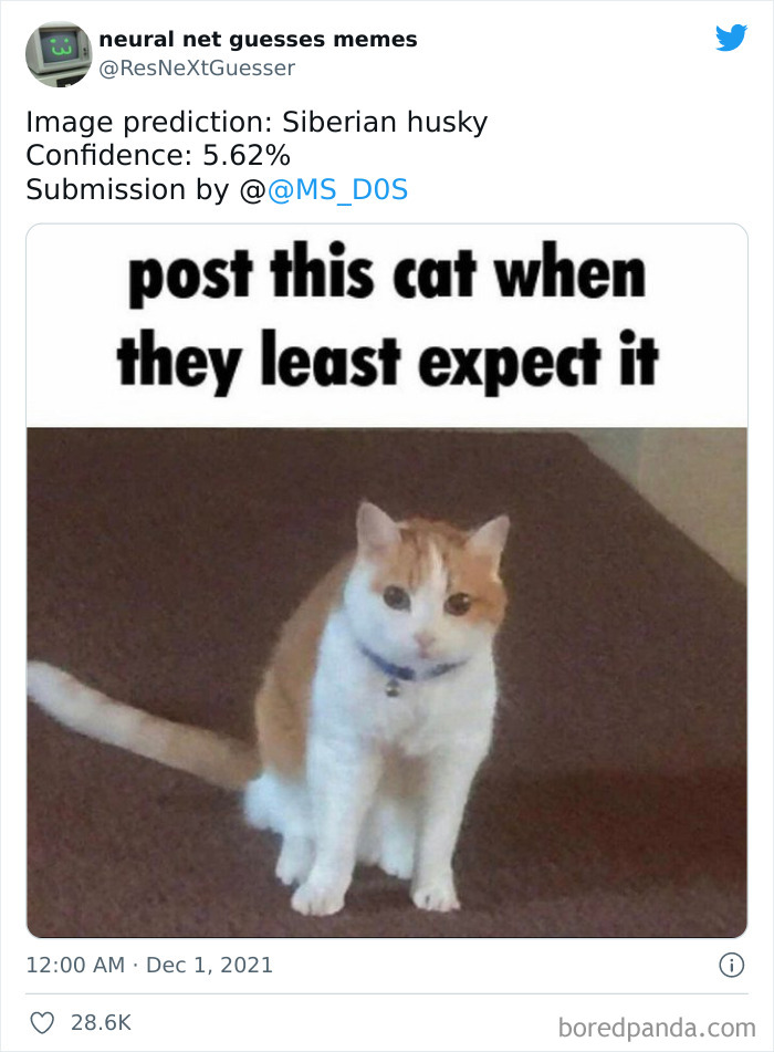 Neural-Net-Guesses-Memes-Pics