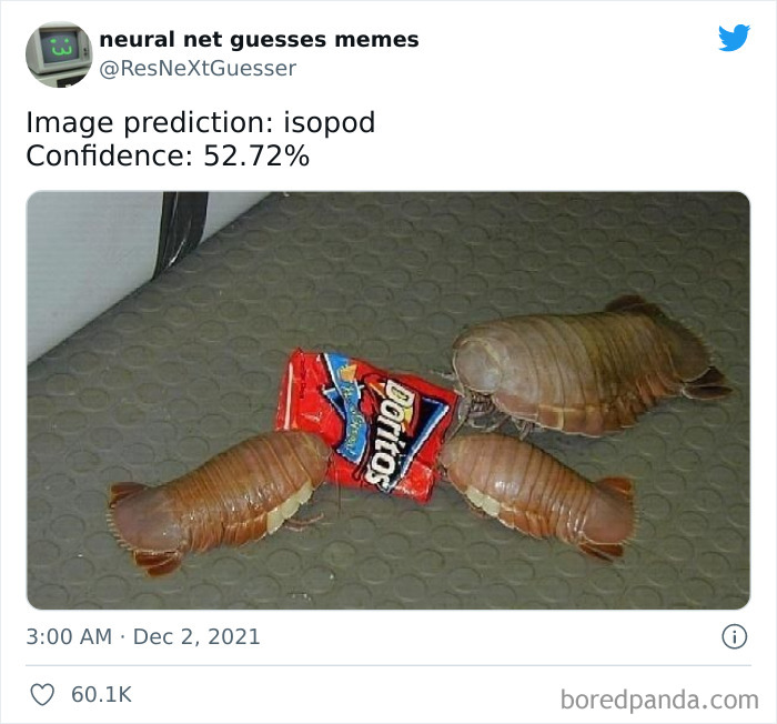 Neural-Net-Guesses-Memes-Pics